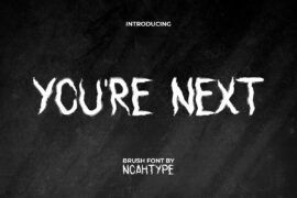 Youre NextDemo Font