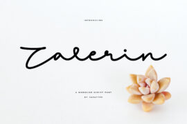 Zalerin Font Family