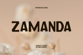 ZamandaDemo Font