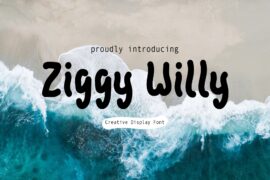 Ziggy Willy – Demo Font