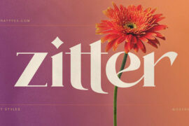 Zitter Font