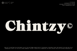 ZT Chintzy Font Family