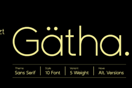 ZT Gatha Font Family