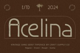Acelina Vintage Demo Font