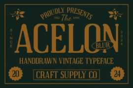 Acelon Blur Demo Font