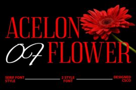 Acelon Demo Font
