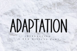 ADAPTATION Font