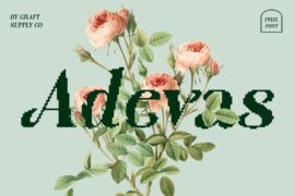 Adevas Pixel Demo Font