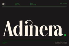 Adinera DEMO Font