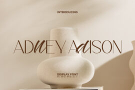 Adney Adison Demo Font