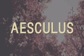 Aesculus Font