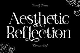 Aesthetic Reflection Demo Font