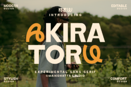 AKIRA TORU Font