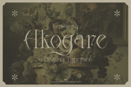 Akogare DEMO Font