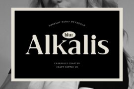 Alkalis Blur Demo Font