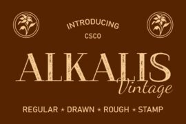 Alkalis Vintage Demo Font