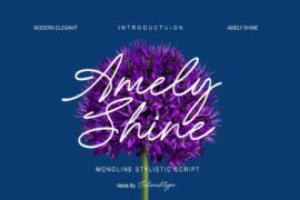 Amely Shine Personal Use Font
