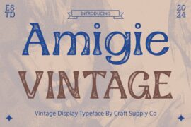 Amigie Vintage Demo Font
