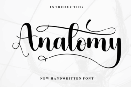 Anatomy Font