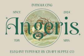 Angeris Demo Font