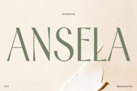 Ansela Demo Font