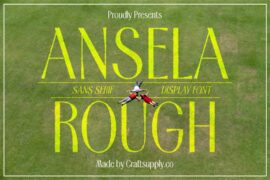 Ansela Rough Demo Font