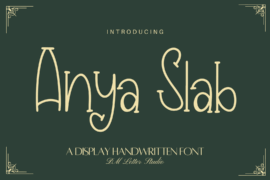Anya Slab Font