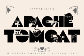 Apache Tomcat Demo Font