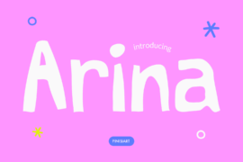 Arina Font
