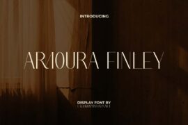 Armoura Finley Demo Font