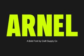 Arnel Demo Font