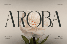 Aroba Modern Demo Font