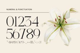 Asbor Fashion – Demo Version Font