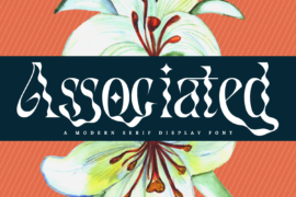 Associated Demo Font Font