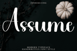 Assume Font