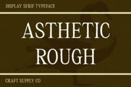 Asthetic Rough Demo Font