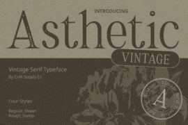 Asthetic Vintage Demo Font
