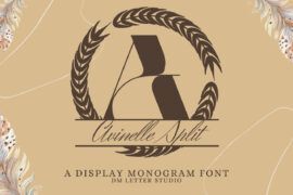 Avinelle Split Monogram Font