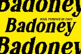 Badoney Pixel Demo Font