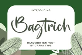 Bagtrich DEMO Font