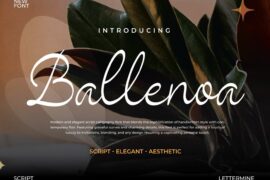 Ballenoa Demo Font