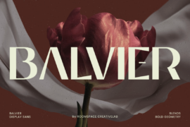 Balvier Font Family