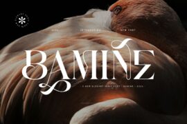 BAMINE Font