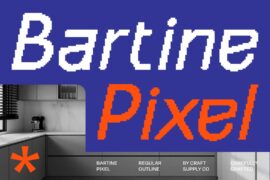 Bartine Pixel Demo Font