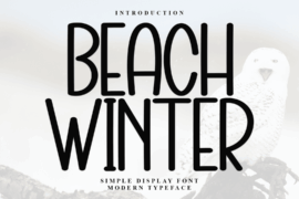 Beach Winter Font