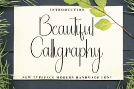 Beautiful Calligraph Font