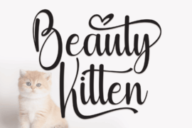 Beauty Kitten Font