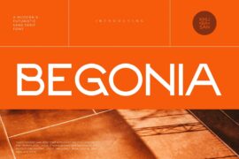 Begonia Font