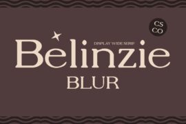 Belinzie Blur Demo Font