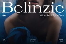 Belinzie Demo Font